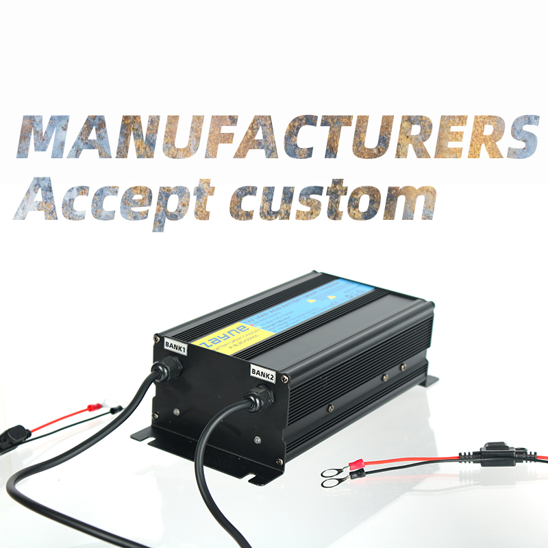 2-Bank 20A 10Amp Per Bank 12V  - Agm Deep Cycle Battery recension och pris